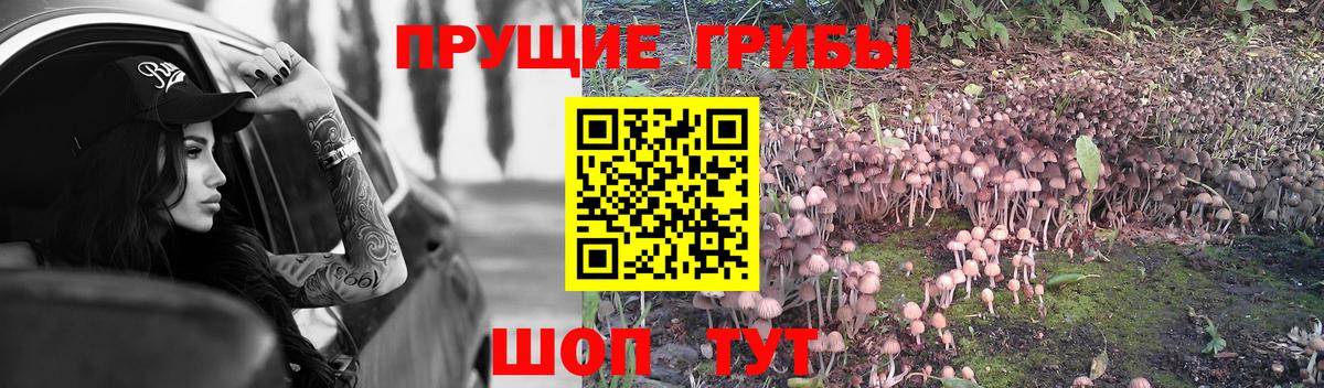 Бугуруслан  Галлюциногенные грибы ЛСД  Вход с VPN  Галлюциногенные грибы ЛСД 