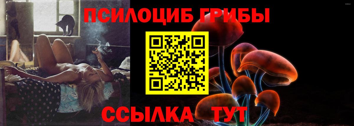 Псилоцибиновые грибы Psilocybine cubensis Бугуруслан